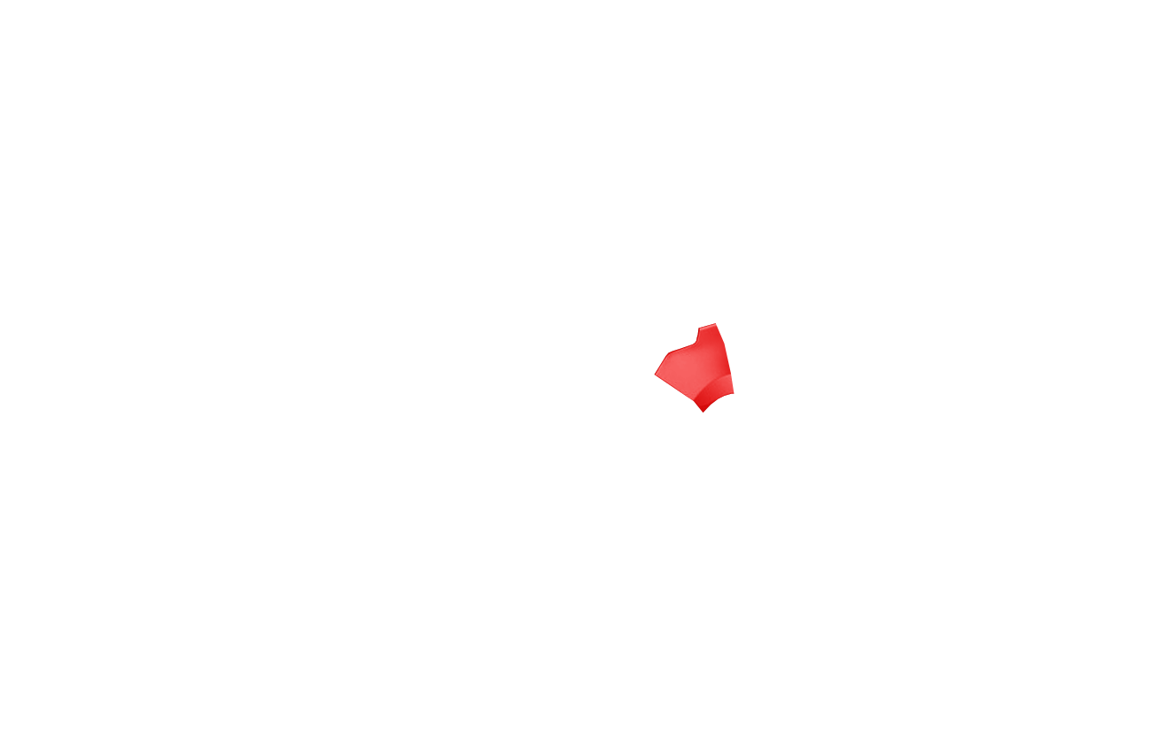 Partial Fender